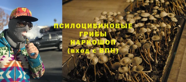 бошки Алзамай