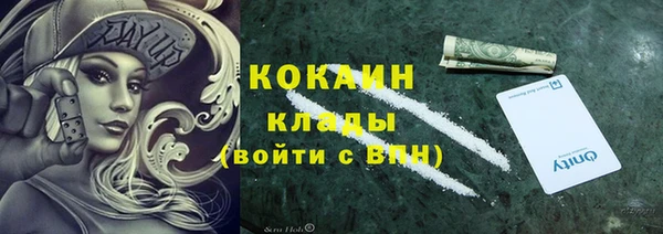 ешки Алексин